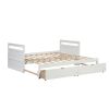 THE TWIN BED CAN BE EXPANDED AND 2 DRAWERS FOR WHITE COLOR - as pic